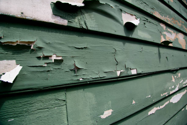 Same-Day Junk Removal Services in Island Park, NY